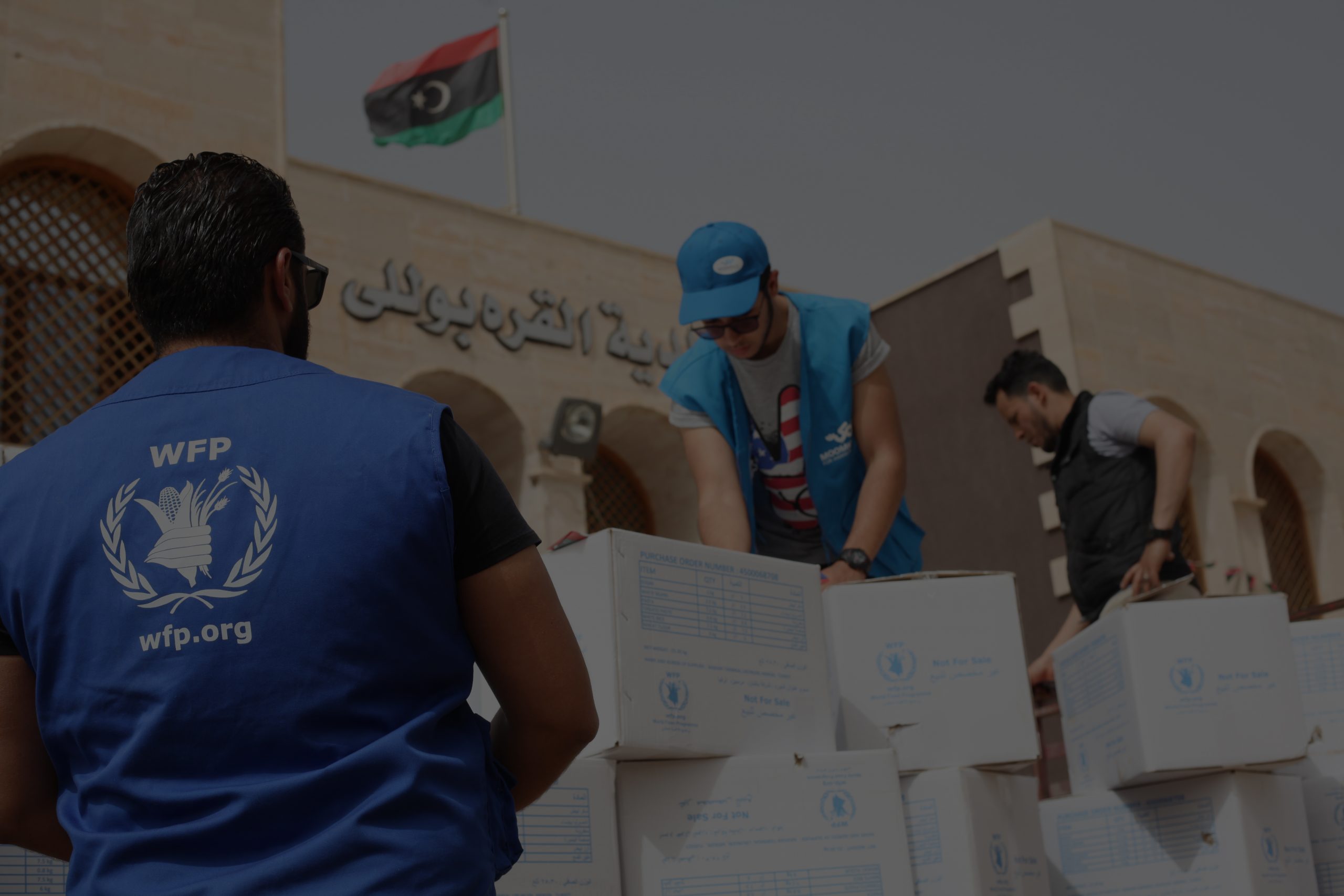 WFP Third Party Monitoring